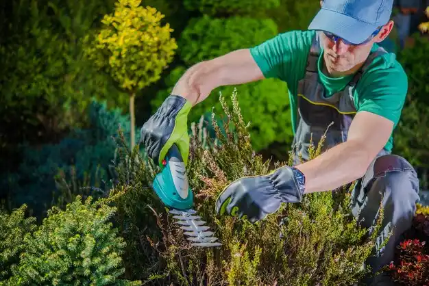 landscaping services Booneville